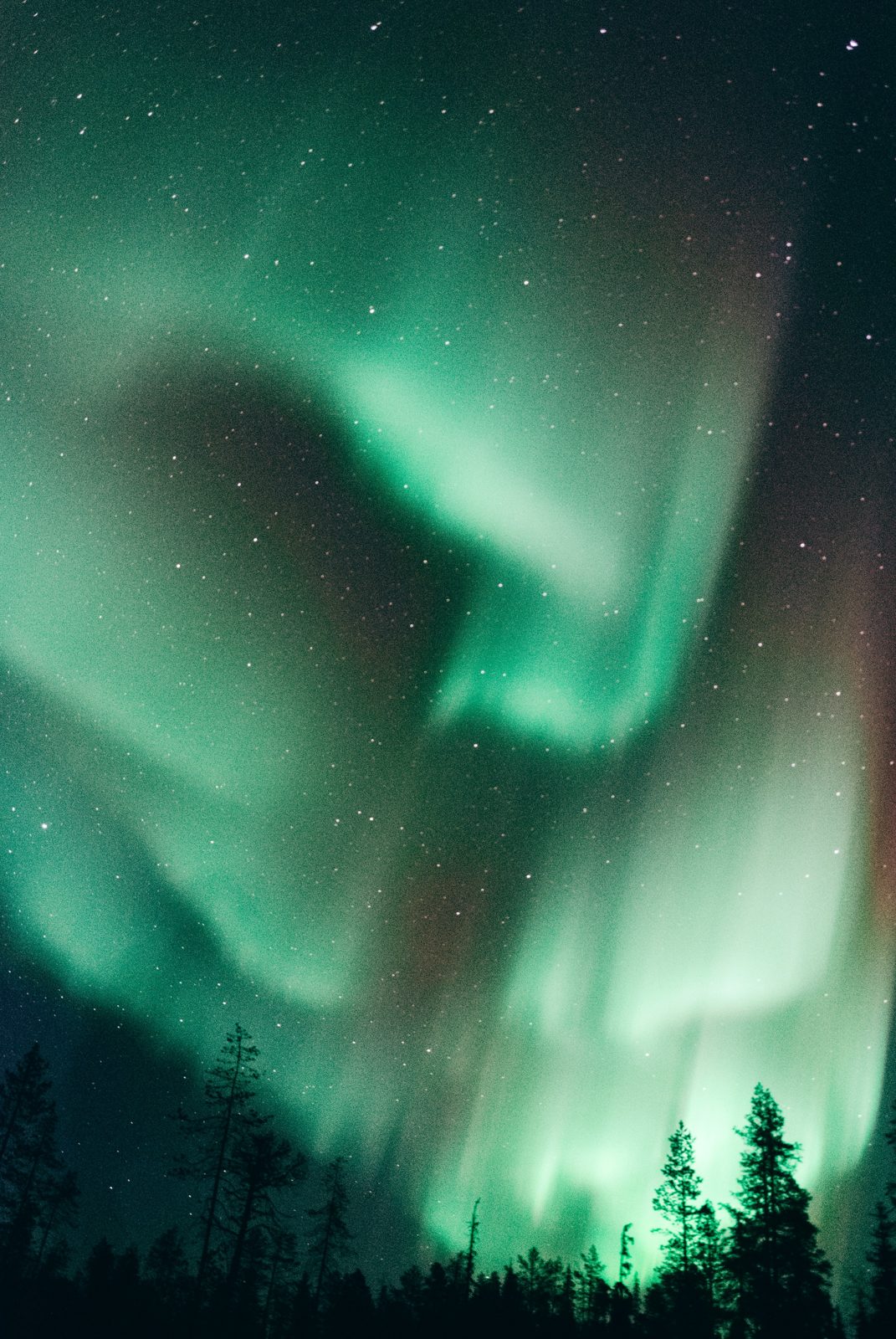 Finland reizen: noorderlicht boven de glazen iglo's van Halo Igloos in Lapland